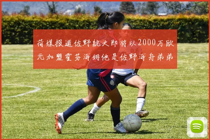 荷媒报道佐野航大即将以2000万欧元加盟霍芬海姆他是佐野海舟弟弟